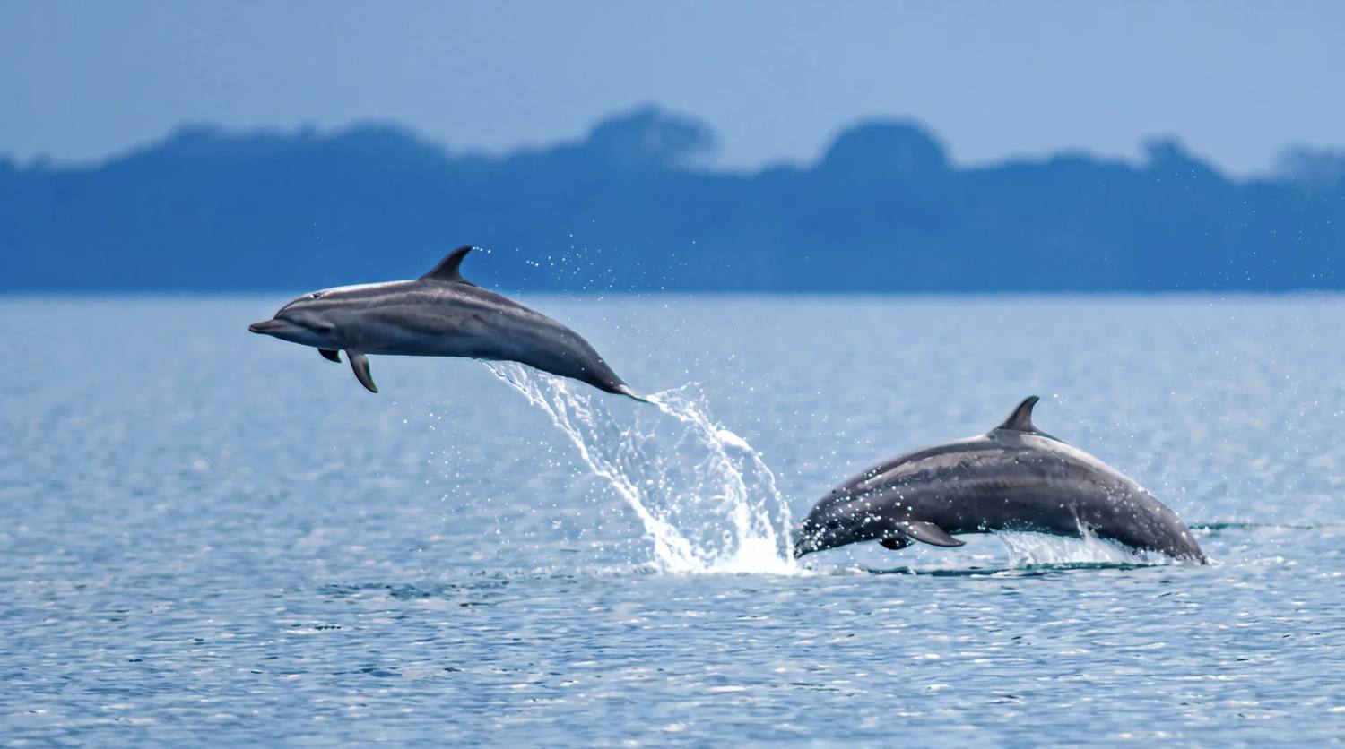 The South Pacific and Osa, Costa Rica