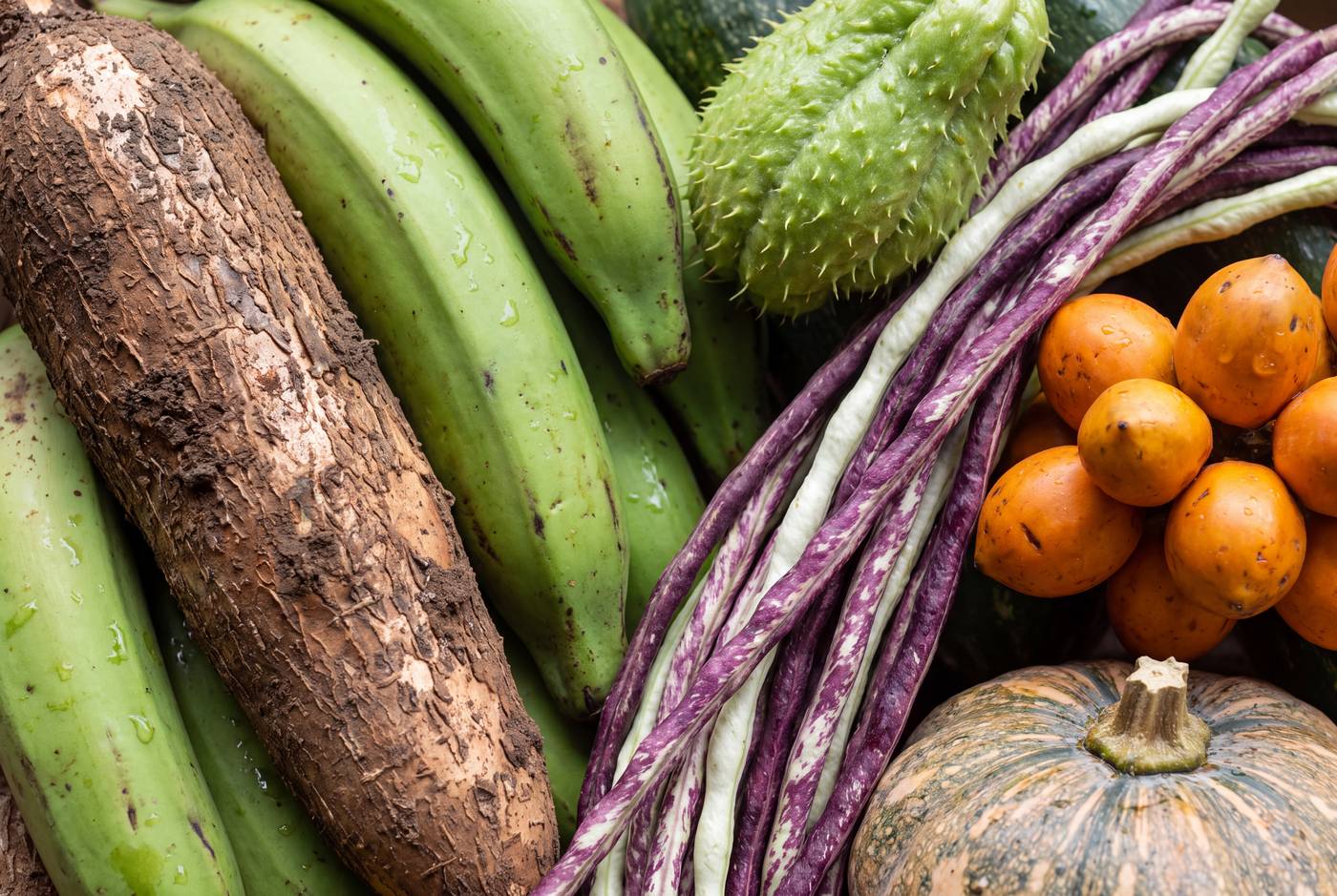 Fresh Costa Rican produce bought at the market